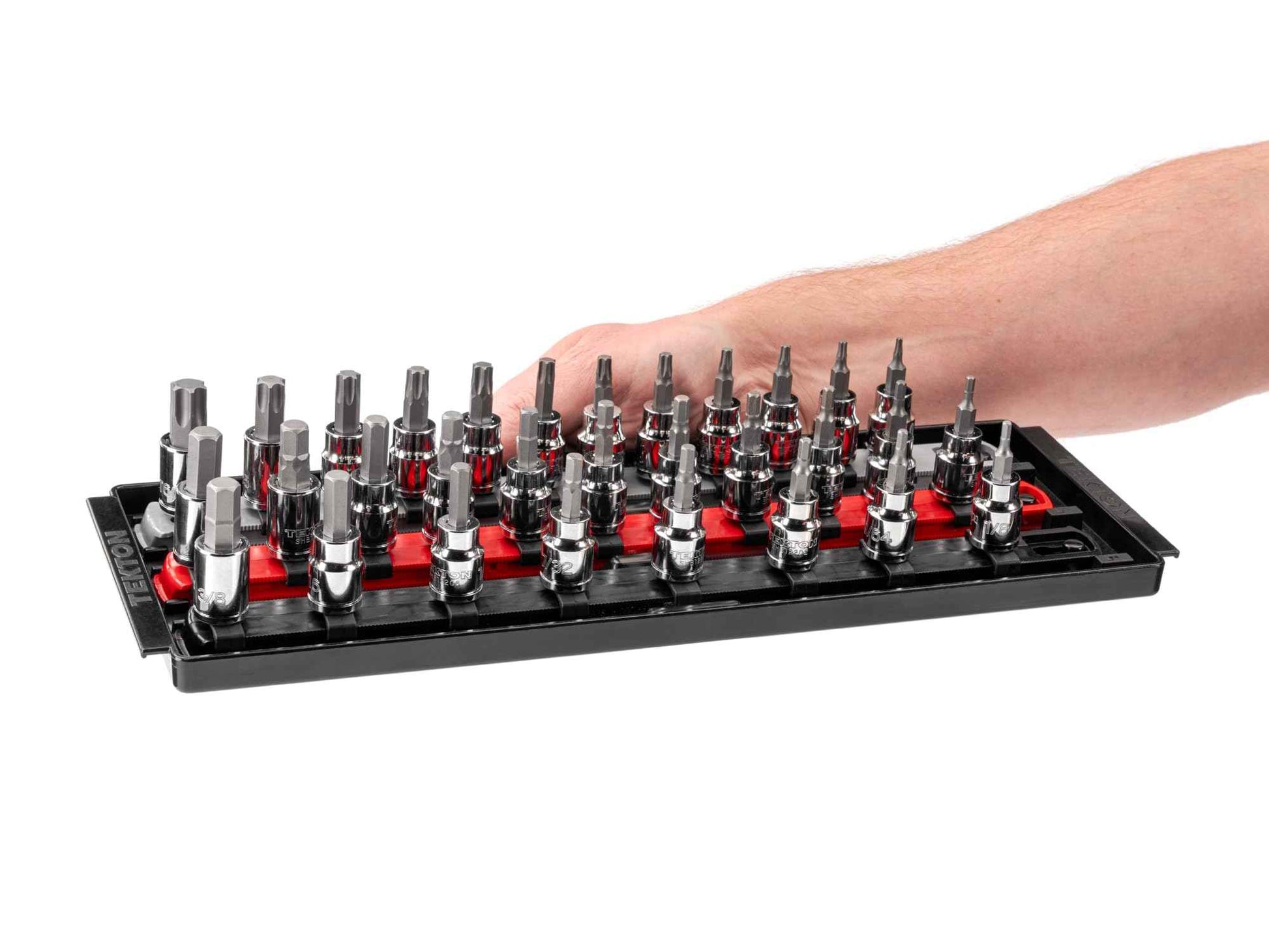 TEKTON 3/8 Inch Drive Hex and Torx Bit Socket Set with Rails and Tray, 31-Piece (1/8-3/8 in., 3-10 mm, T10-T60) | SHB91203